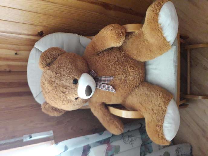 REGALO oso de peluche