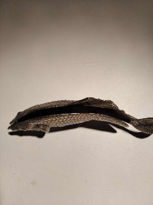 REGALO Pez cartero 2