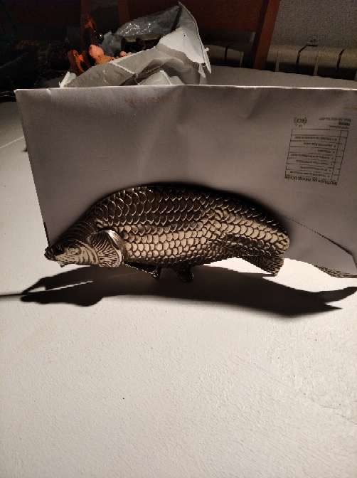 REGALO Pez cartero 3