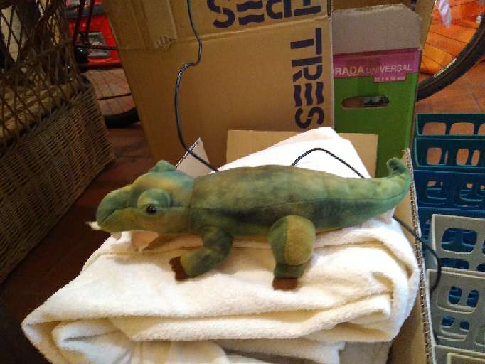 REGALO Peluixos petits. 3