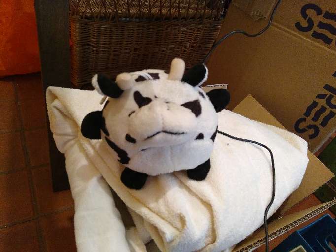 REGALO Peluixos petits. 2