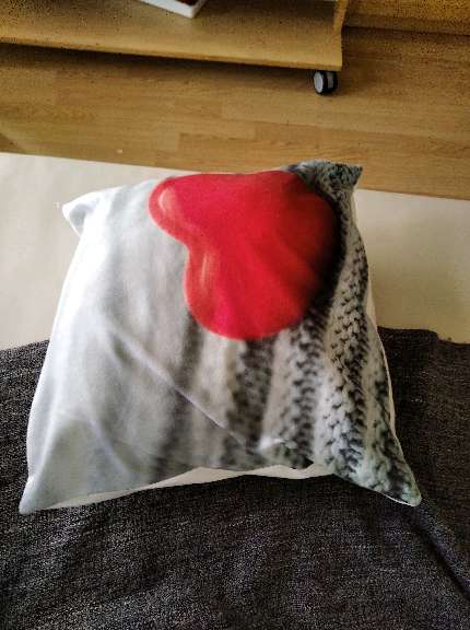 REGALO cojin REGALO cojin