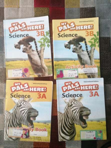 REGALO Libros de 3er Grado 4