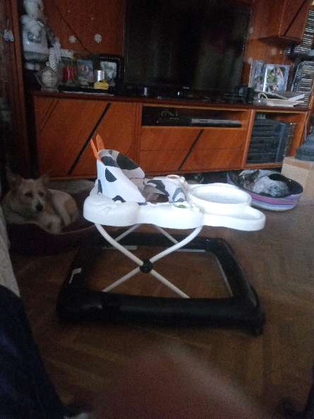 REGALO Tacata REGALO Tacata