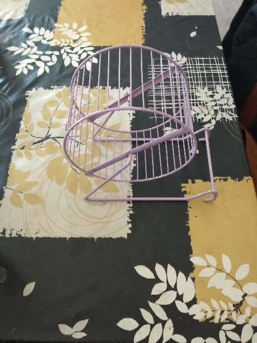 REGALO rueda para roedores 2