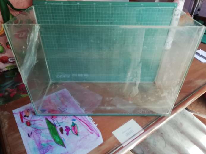 REGALO Pecera REGALO Pecera