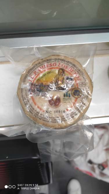 REGALO Queso de vaca REGALO Queso de vaca