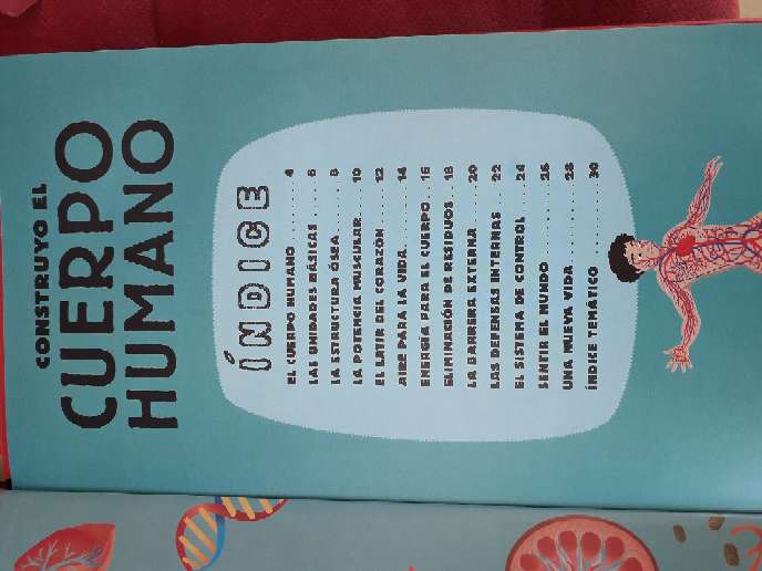 REGALO libro del cuerpo humano 2