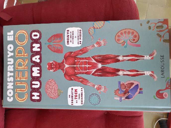 REGALO libro del cuerpo humano 1