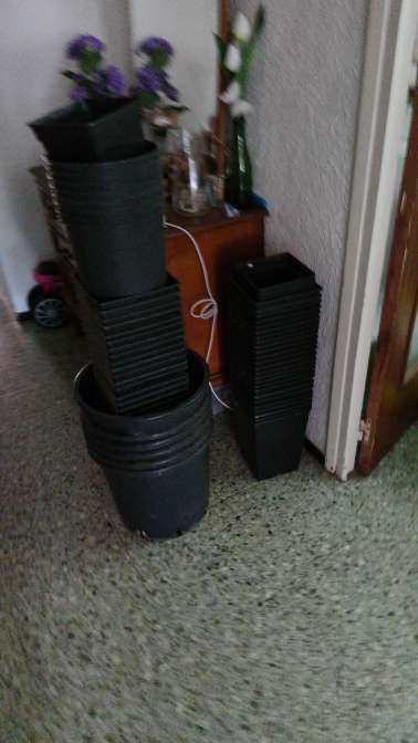 REGALO se regalan tiestos
