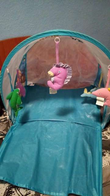 REGALO prorector de sol