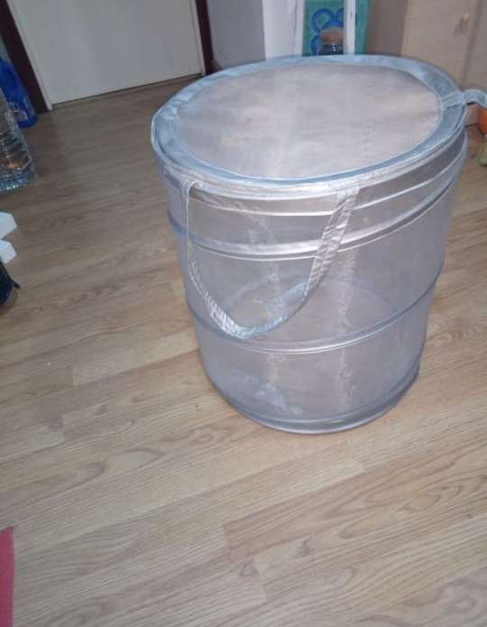REGALO Organizador 