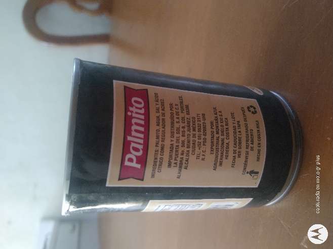 REGALO Palmito entero de lata 493 gr 2