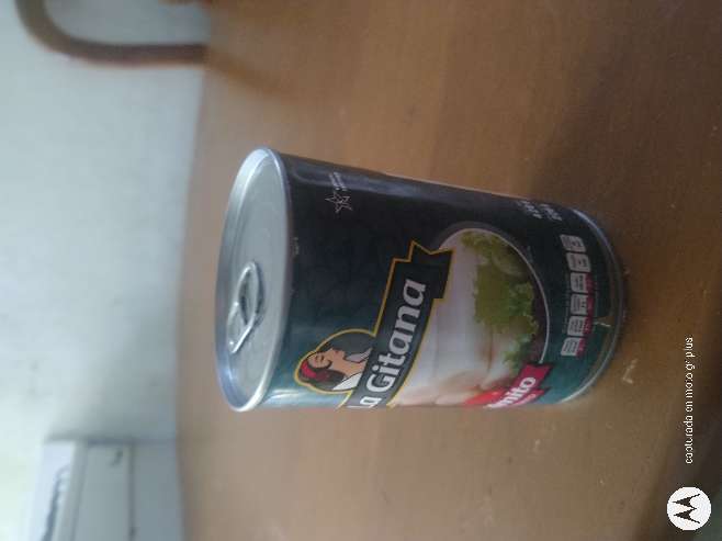 REGALO Palmito entero de lata 493 gr 4