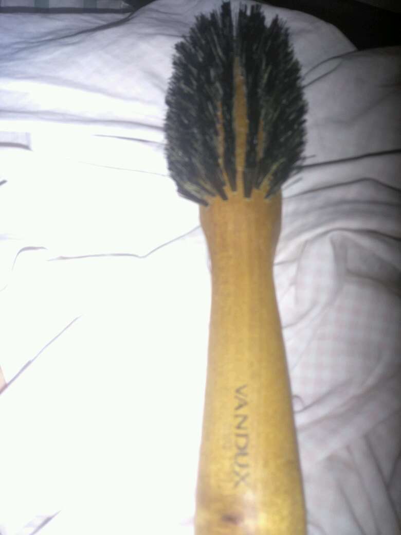 REGALO sepillo de bamb 