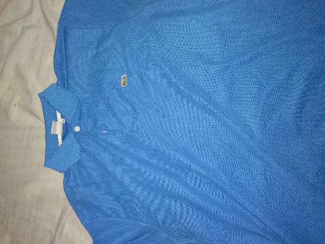 REGALO polo lacoste talla L usada REGALO polo lacoste talla L usada