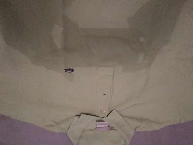 REGALO polo lacoste usada talla XL REGALO polo lacoste usada talla XL