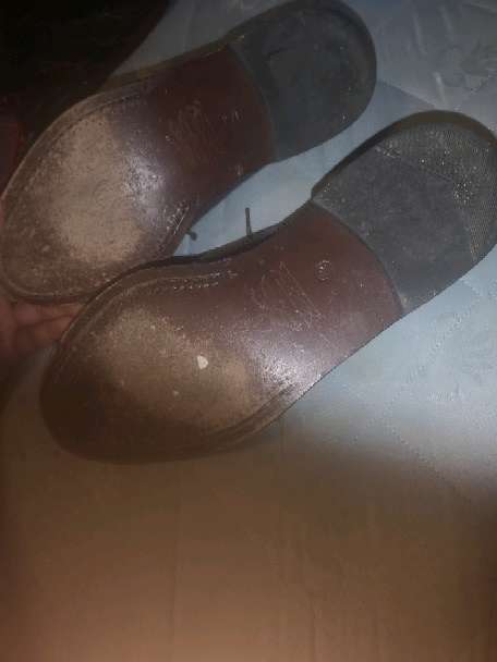 REGALO Zapatillas  2