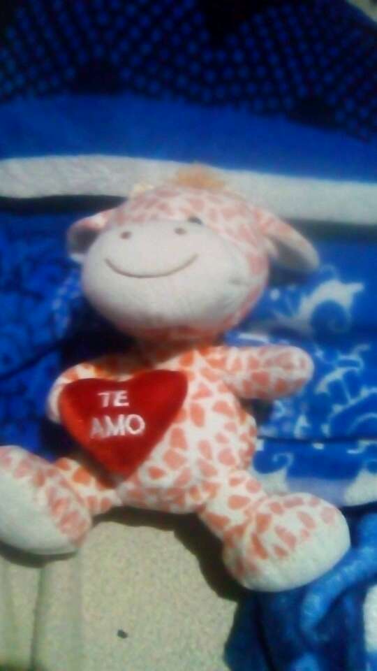 REGALO Peluche 1