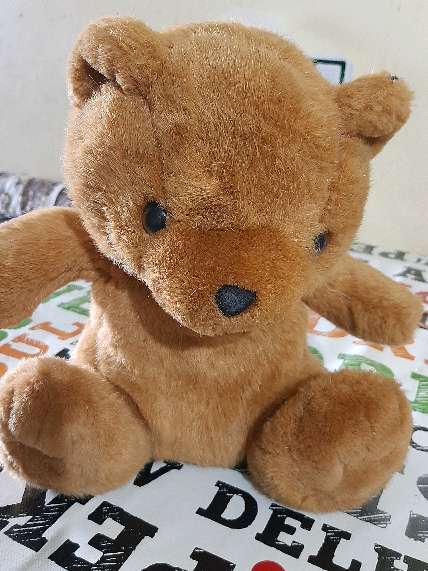 REGALO oso de peluche