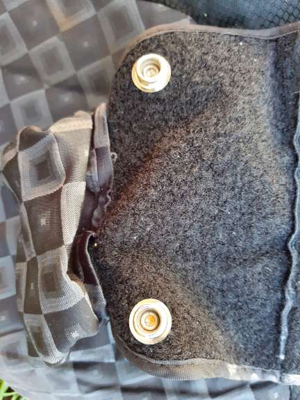 REGALO Cinturon Coche Premama 3