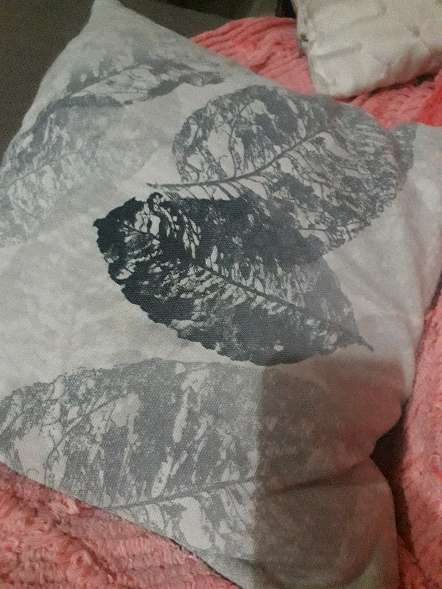 REGALO cojin REGALO cojin