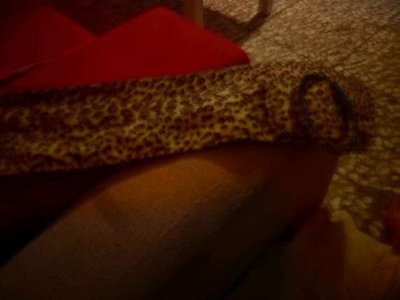 REGALO cinturon atigrado REGALO cinturon atigrado