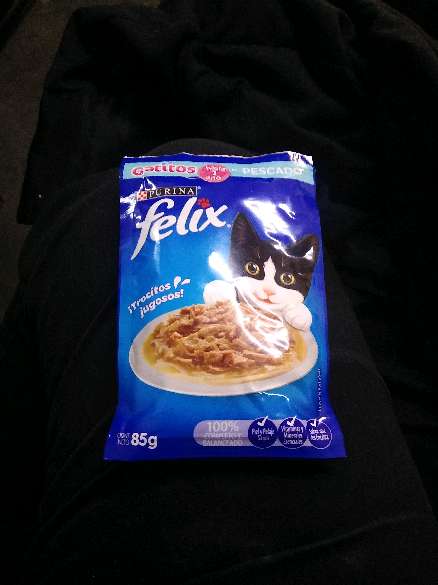 REGALO Sobres Flix el gato 