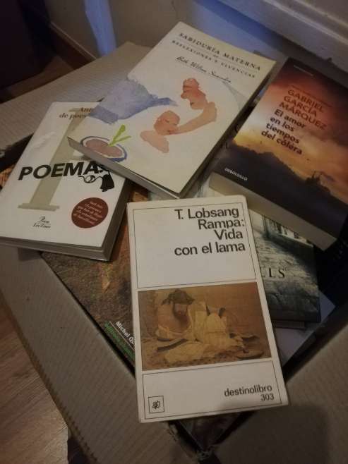 REGALO Lote de unos 50 libros tipo novela 