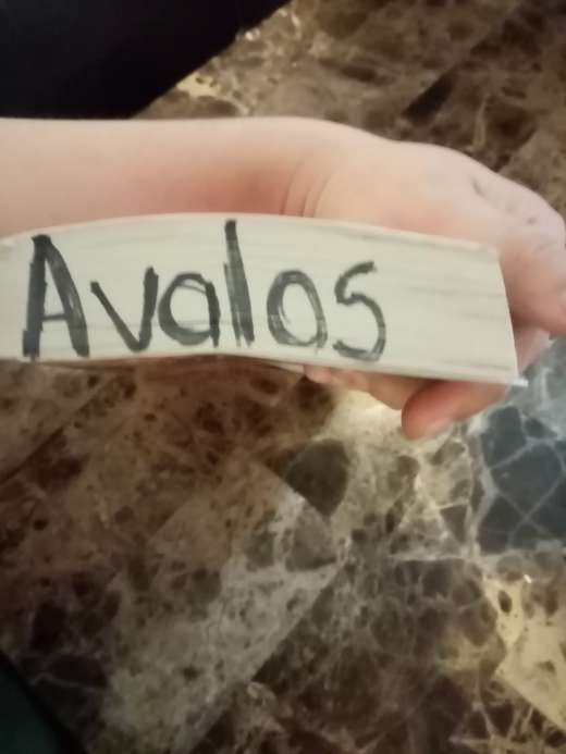 REGALO Diccionario ingles-espaol  2