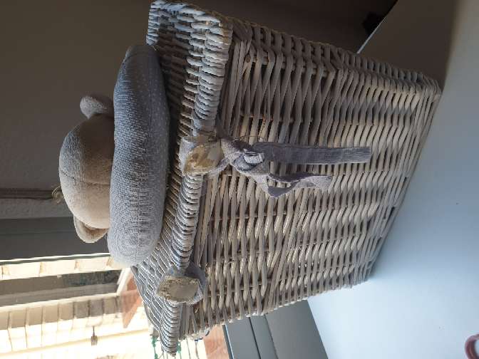 REGALO canastilla  2