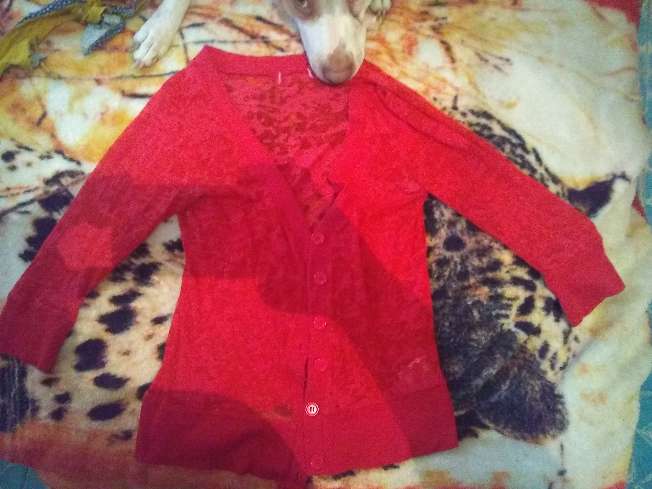 REGALO blusa de dama 