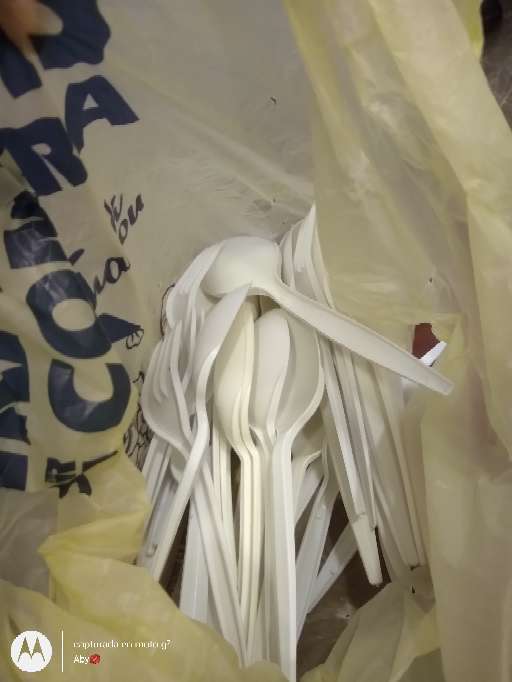 REGALO desechables 4