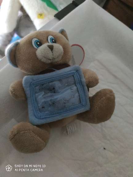 REGALO osito REGALO osito