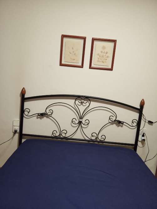 REGALO Cama y colchón REGALO Cama y colchón