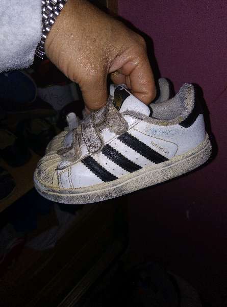 REGALO Potitos de bebe 2