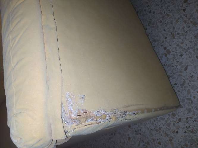 REGALO Sofa cama 3