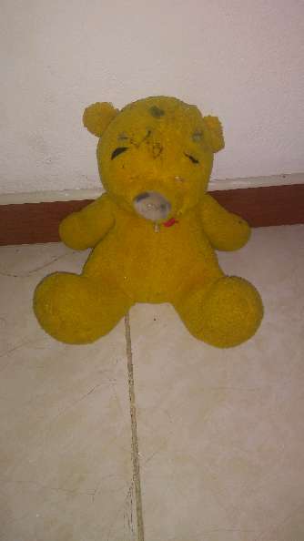 REGALO peluche 