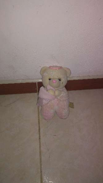 REGALO peluche arodillado