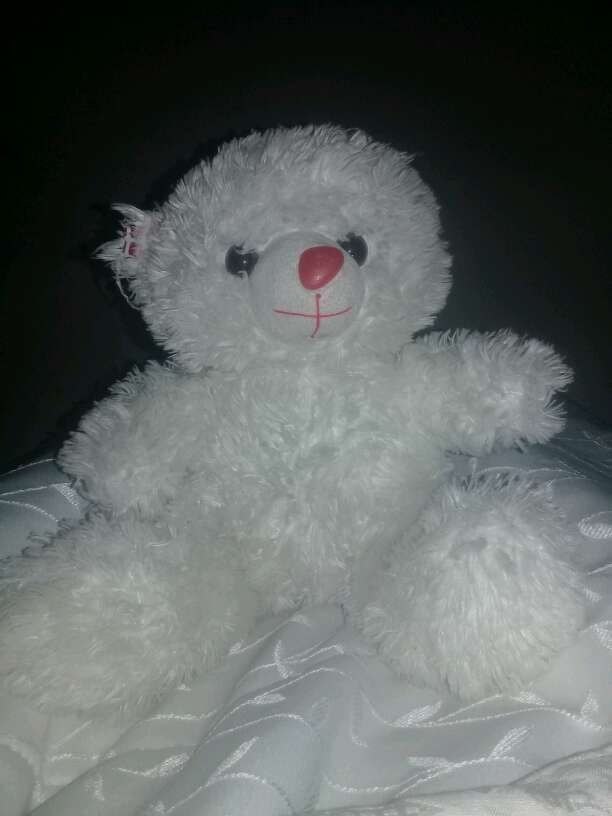 REGALO Oso De Peluche