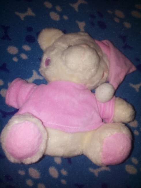 REGALO Osito de peluche
