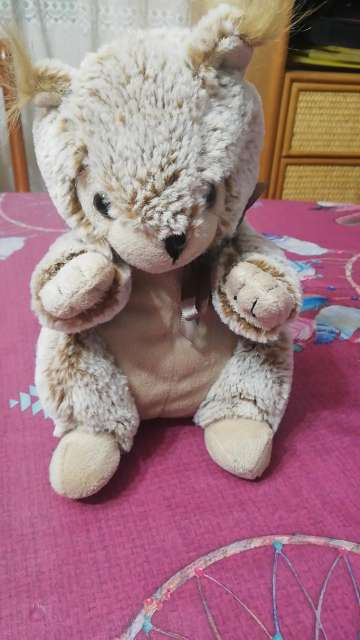 REGALO Peluche 1