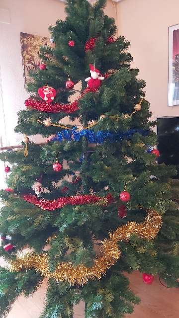 REGALO Árbol de Navidad REGALO Árbol de Navidad