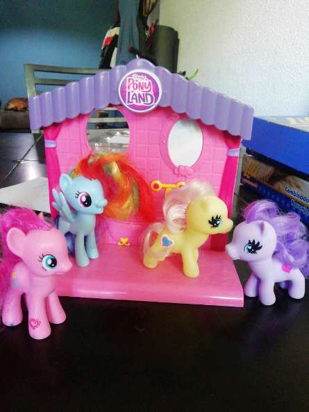 REGALO Set de 10 ponies.  2