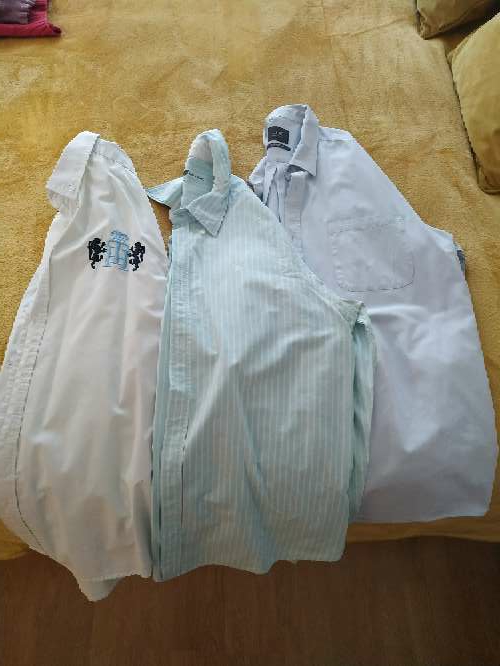 REGALO camisas manga larga 2