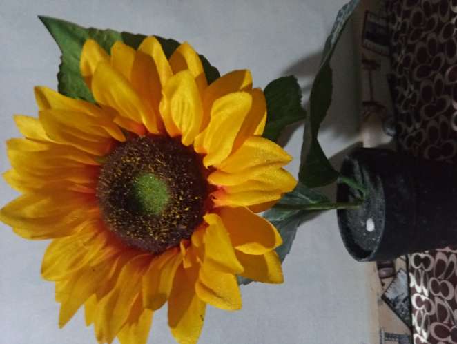 REGALO Girasol Decorativo ( unico) 