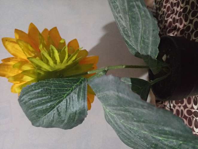 REGALO Girasol Decorativo ( unico)  3