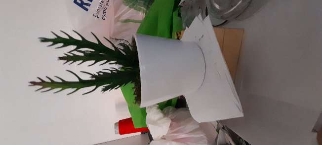 REGALO planta artificial 