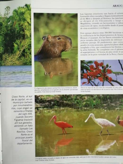 REGALO Libro Colombia, Tierra de mil colores  3