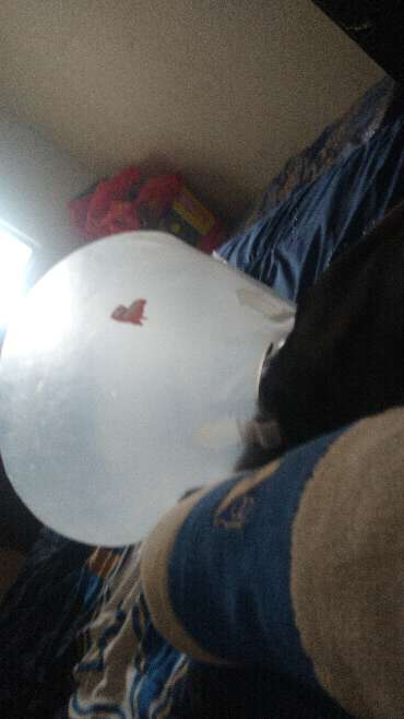 REGALO Cono isabelino 